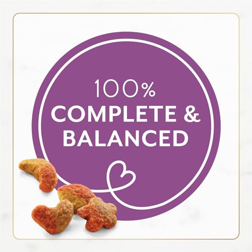 Fancy Feast Purina with Savory Chicken & Turkey Dry Cat Food, 16 OZ - image 8
