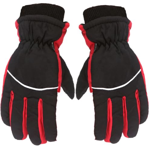 [Wapik] �h�� ��� �q�� �h�� ���� �X�L�[�O���[�u �L�b�Y �X�m�[��� �ĂԂ��� �q�ǂ� �~�p �h�� �h���� �ۉ� �h�� ���� ���N�� �j�̎q ���̎q �����ӂ� �X�m�[�{�[�h �O���[�u ����V�� �� �ʊw �o�R ���]�� �A�E�g�h�A �W���j�A