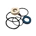 3404477M91 New Fits Massey Ferguson Tractor Cylinder Repair Kit 240 253 360 362 20F +