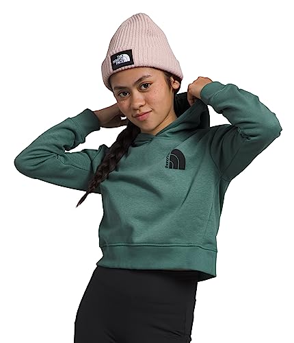 The North Face Girls' Camp Fleece Pullover Hoodie Sweatshirt, Dark Sage, Small