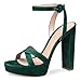 Sandales À Talons Épais pour Femmes, Sandal Plateforme À Bout Rond Et Bride Arrière pour Dames, Chaussures De Banquet À Bout Ouvert D'été À Talons Super Hauts De 15CM,Vert,40 EU