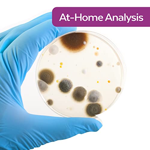 image for ImmunoLytics Mold Test Kit for Home - 5 Simple DIY Mold Detection Test