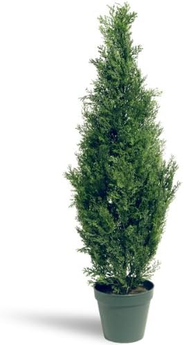 National Tree Company Artificial Shrub | Includes Pot Base | Arborvitae - 36 Inch