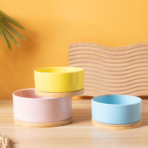 Liemuao Beheizter Katzennapf, 350 ml/600ml Haustier-Wassernapf-Heizung, beheizter Keramik-Wassernapf,USB-Lade-Wasserspender für Katzen, Hunde im Freien und drinnen (Weiß, 350ML)