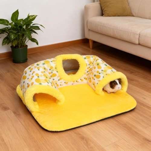 Tubo de para hámster interactivo con diseño estable 5