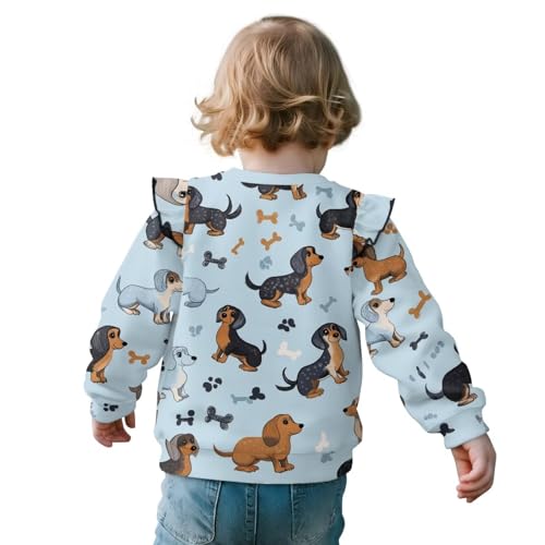 Long Sleeve Shirts for Toddler Girls Fall Clothes Ruffle Sweatshirts Crewneck Pullover Active Tops 1-8 Years2