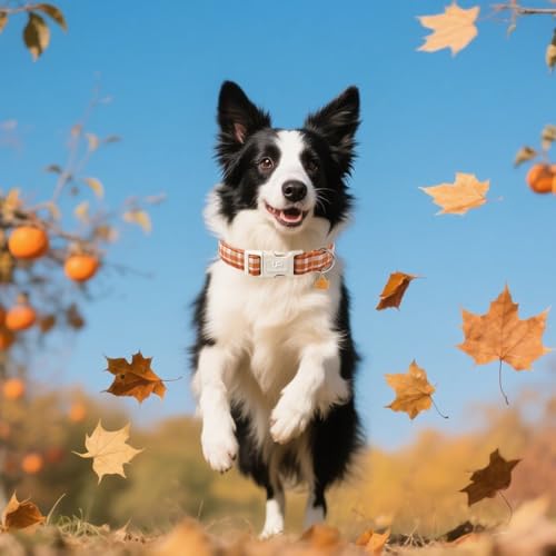 Image of Fall Plaid Dog Collar with Maple Leaf Charm - Adjustable Autumn Checkered Dog Collar for Small Medium Large Dogs, Soft Cotton Puppy Collars with Quick Release Buckle and Metal D-Ring