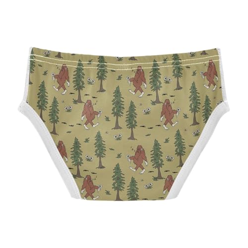 Little Boys Briefs Bigfoot Sasquatch Soft Cotton Toddler Underwear in Sizes 2/3t, 4t, 5t, 6 and 82