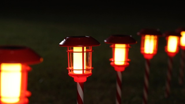 Dynaming 6-Pack Solar Flame Torch Lights Outdoor Flickering