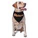 Bitcoin Symbol Triangle Dog Bandana Scarf Accessories for Pet Bibs