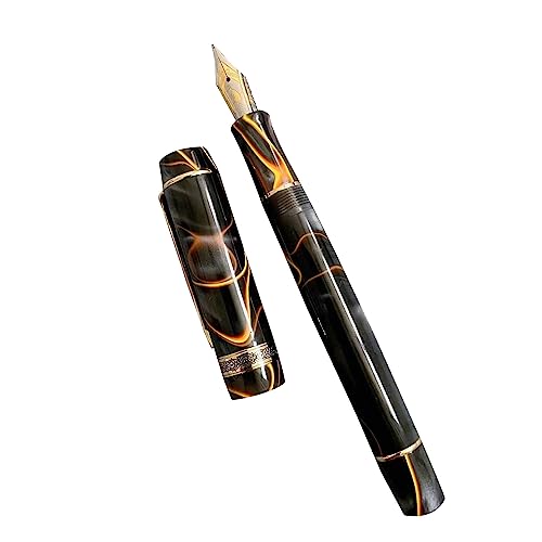 Stylo plume en acrylique parfait pour votre journal et manuel