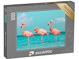puzzleYOU
