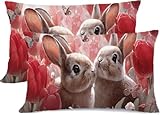 Funda Almohada 25x50 Conejo Pack 2 Funda Cojin Mariposa Fundas de Almohada Algodon Cáñamo Decorativas cojín Rectangular-Cojines Sofa Fundas Cojins para Cama-Protector Almohadas con Cremallera z0j-335