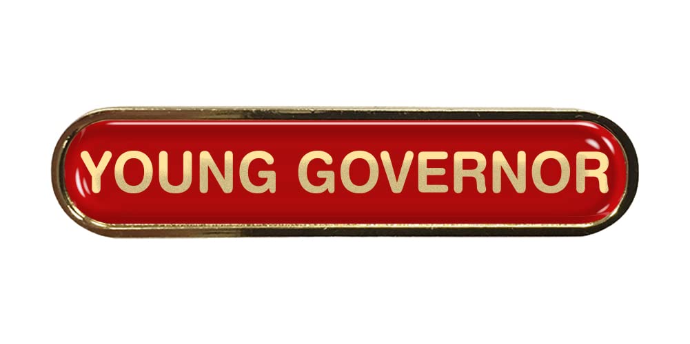 Capricornone Aspiration Gel Domed Red School Shield Badge