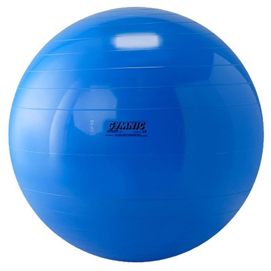 Gymnic Body Ball 65 - Body Ball, Blue : Amazon.ca: Sports