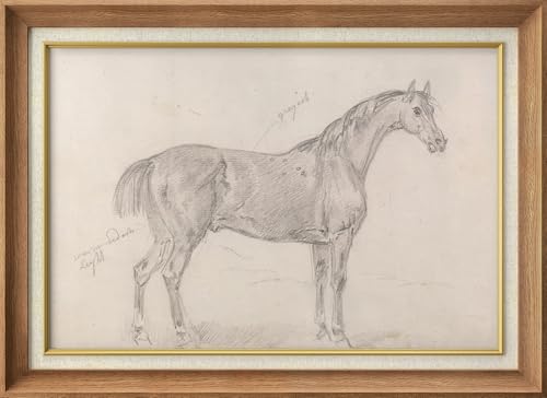 SIGNWIN Premium Frame Art Horse Sketch on Beige Paper Illustrations