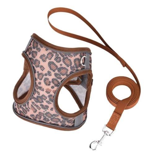 qExXgX^Cjo[Tn[lXZbgiLpA1.5m[Vtj - ʋCbVfUC(Brown,XXS)