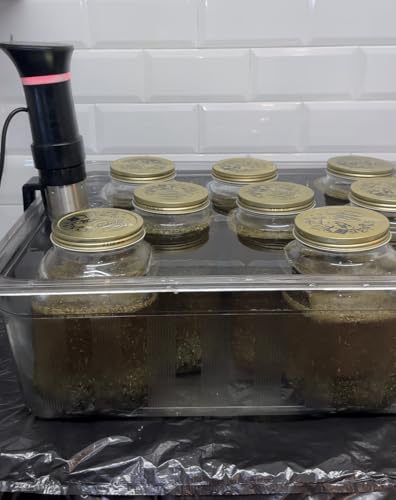 Mane-of-Honour-Tiktok-Viral-Herbal-Beard-Oil-50ml-Infused-With-Black-Seed-Rosemary-Amla-Horsetail-Nettle