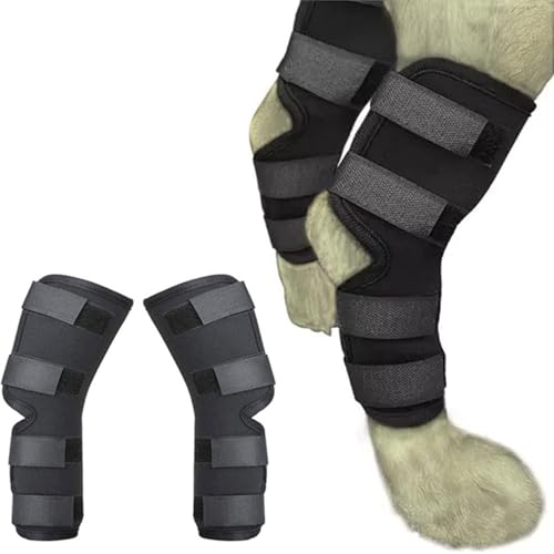 Image of 1 Pair Dog Leg Braces for Back Legs, Adjustable Hock Support Wrap for ACL Tear, Arthritis & Joint Pain Relief, Breathable Hind Leg Brace for Large & Senior Dogs (XL)