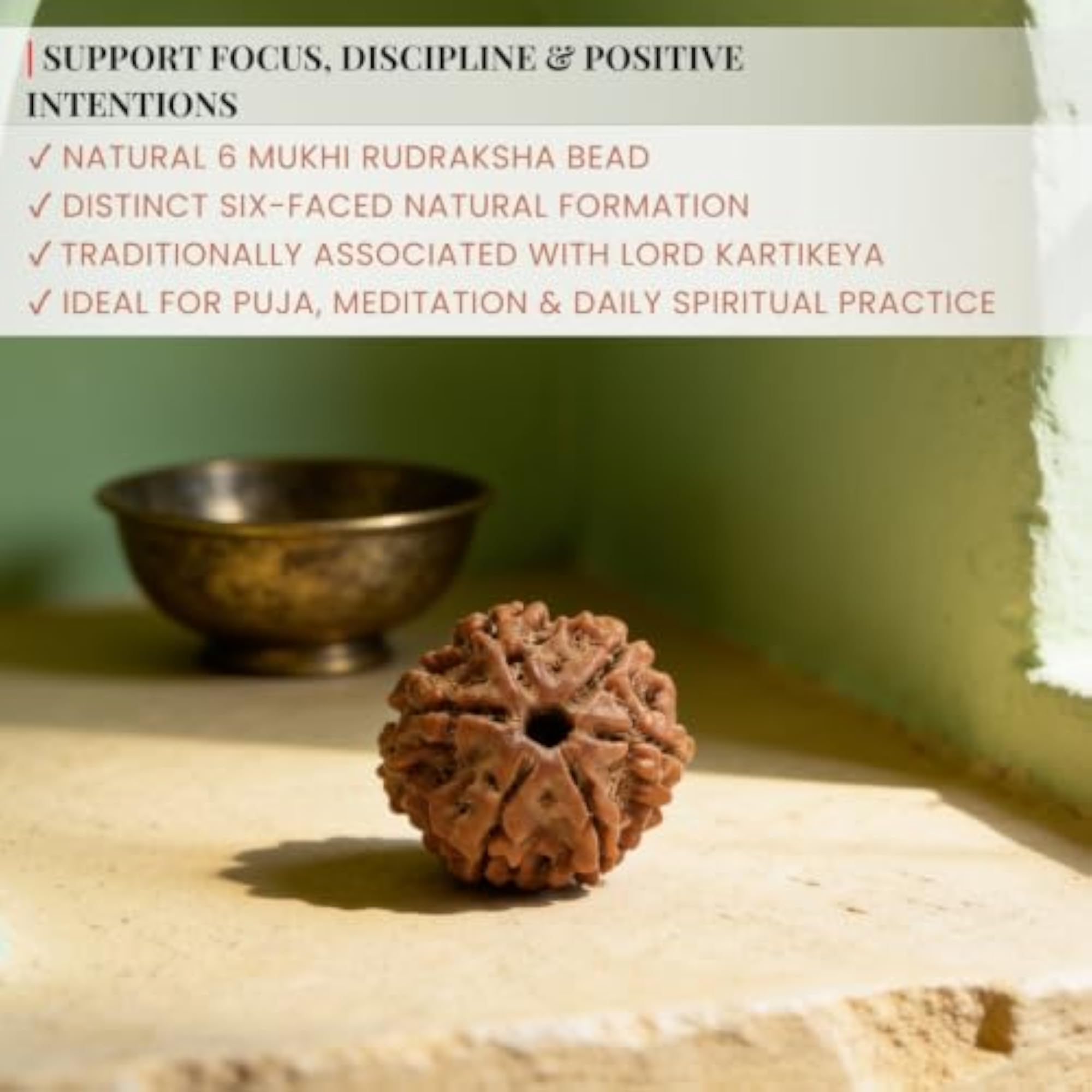 Authentic 6 Mukhi Rudraksha Bead for Focus and Willpower
