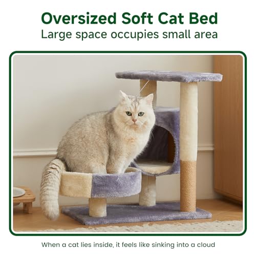 Torre para Gatos Multi-Nivel con Condo y Juguete miniatura 5