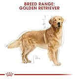 Royal Canin 35251 Breed Golden Retriever 12 kg- Hundefutter