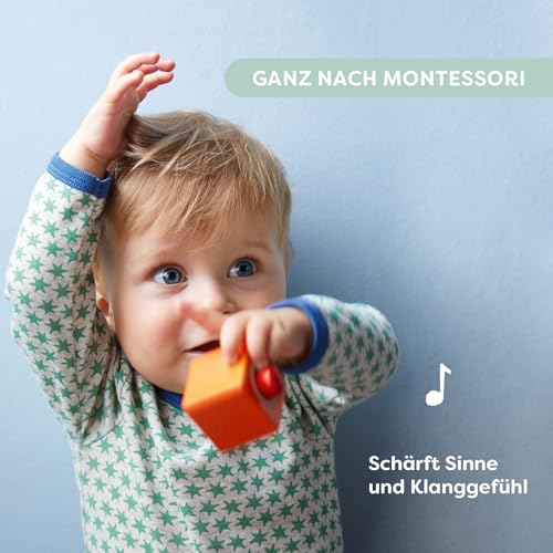 HABA Entdeckerbausteine Klangspaß – 6 Klangbausteine aus Holz für Baby & Kleinkind ab 1 Jahr, Musikspielzeug & Montessori Spielzeug zur Wahrnehmung ab 12M – 2014451001, Edition 2026