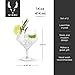 Viski Raye Angled Stemmed Gin and Tonic Glasses Set of 2 - Premium Crystal Clear Cocktail Gin Glasses for Gin Lovers Gift Set - 14oz