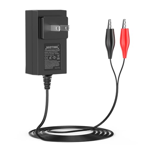 NASTIMA 6V LiFePO4 Battery Charger, 7.3V 1A Smart Charger for 6V Lithium Iron Phosphate Battery with Red and Black Clips and LED Indicator Light