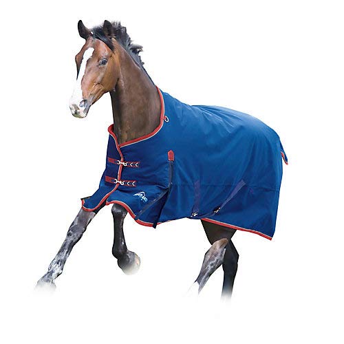 Highlander Plus 300 - Collo standard (190,5 cm, blu navy)