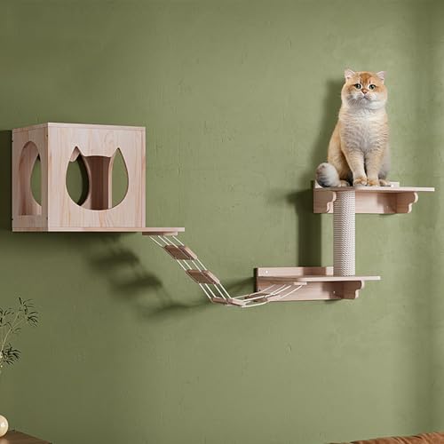 Meubles muraux pour chat pour libérer l'espace au sol et stimuler votre félin