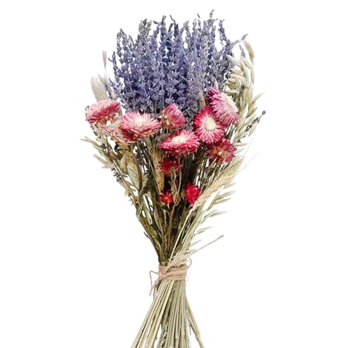 x_[xr[YuXt[17.7C`hCt[AWgz[fR[VEFfBOu[P̂߂̃AWg