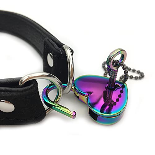 Succuba Padlock Choker Collar Necklace with Lock and Key Heart Lock Choker for Women and Men (B, 16)2