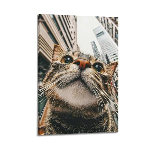 Poster chat urbain poétique sur toile 40 x 60 cm avec cadre pour salon cozy