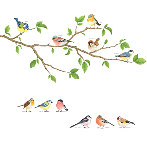 DECOWALL DS-8036 Pájaros del jardín (Pequeña) Vinilo Pegatinas Decorativas Adhesiva Pared Dormitorio Saln Guardera Habitaci Infantiles Nios Bebs Cover