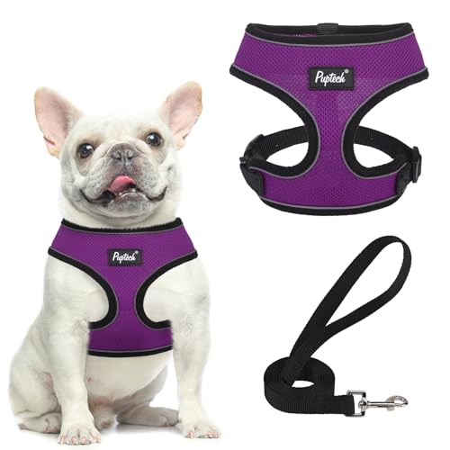 PUPTECK Small Dog Harness and Leash Set No Pull for XS XXS Sized Dogs Puppy