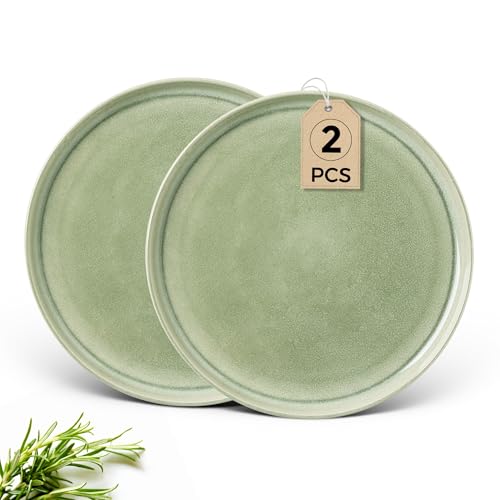 GBHOME Ceramic DIinner Plates Set of 2, 10.25 Inch Large