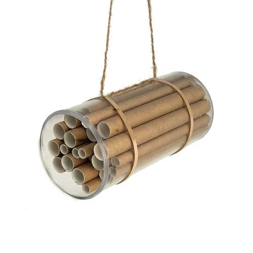 Mason Bee House Activity Kit (25 Projects)