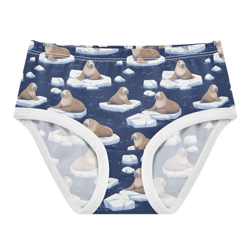Girls Underwear Soft Cotton Walruses Kids Panties in Sizes 2/3t, 4t, 5t, 6 and 8
