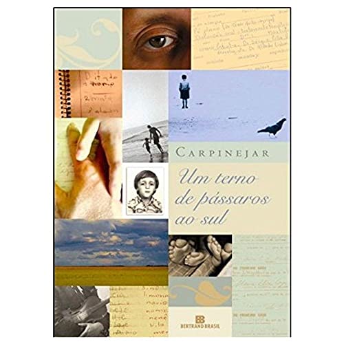 Um terno de pássaros ao sul