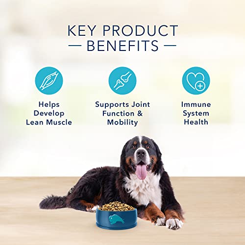 Blue Buffalo Basics Skin & Stomach Care, Natural Adult Large Breed Dry Dog Food, Turkey & Potato 24-Lb #TOP5