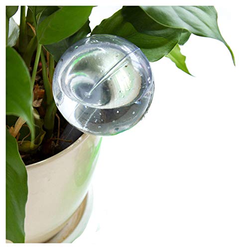 Preisvergleich Produktbild NINGSANJIN Blumen Bewässerungskugeln, Pflanze Gießkugeln Selbstbewässernde Aqua Globen (10.43*3.15, Transparent)