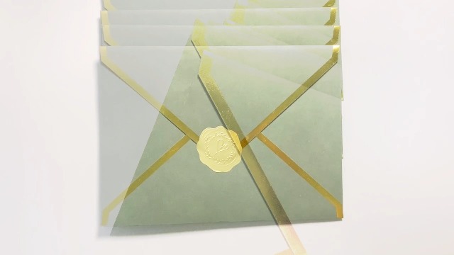 TRAHOO-30 Pack Thick #10 Business Envelopes With Gold Border, 4 1/8 X 9 1 2 Thick Paper Standard Envelopes Stickers Office Checks Letter Mailing Invoices Da