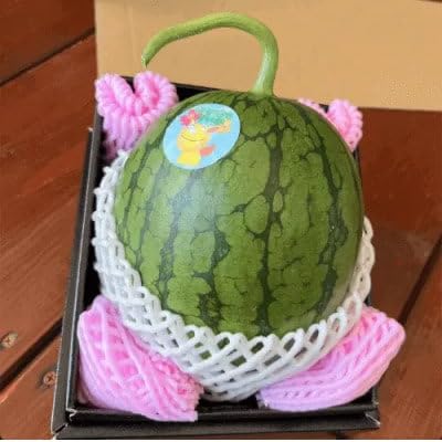 (今帰仁のすいか・ギフト箱)かりゆしすいか(小玉1.7kg)