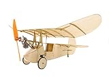 Dancing Wings Newton K0704
