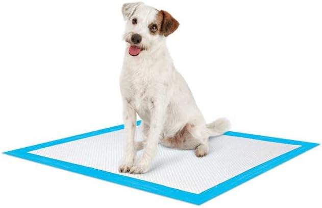 So Phresh Large Leak Guard Quilted Potty Pads, 50 Count, White, Dog Pads