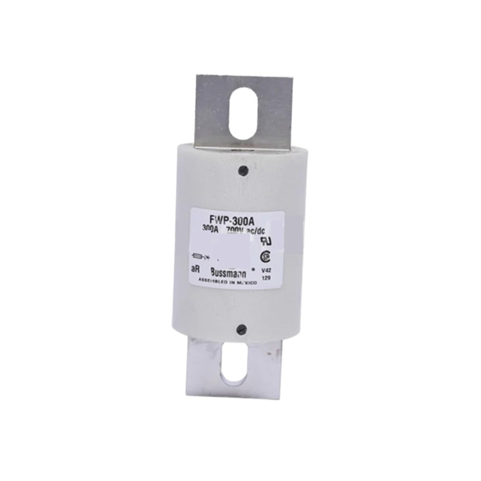 CXDFRSER FWP-300A fuse