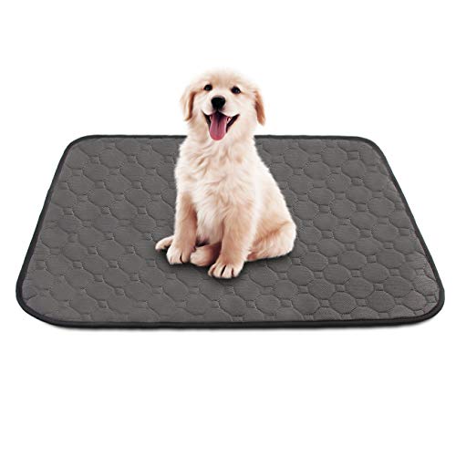 Almohadilla de Orina para Mascotas Perro Gato Almohadillas de Entrenamiento Alfombra Impermeable Lavable Reutilizables (67 * 50cm)