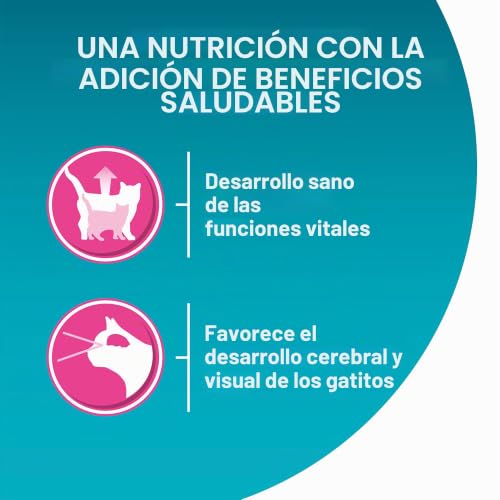 Miniatura 5 de PURINA ONE Single Serve - Junior - Pollo - 4x85g