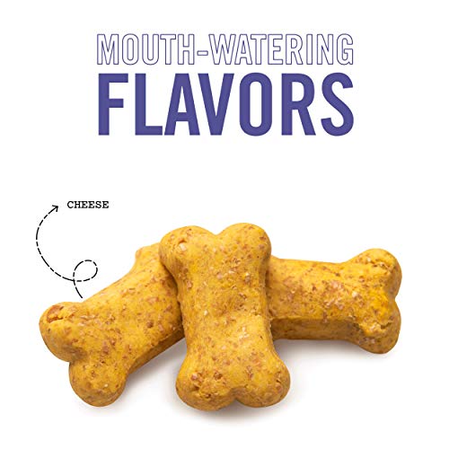 Three Dog Bakery Crunchy Itty Bitty Bones Baked Dog Treats, Cheese, 32 Oz #TOP2
